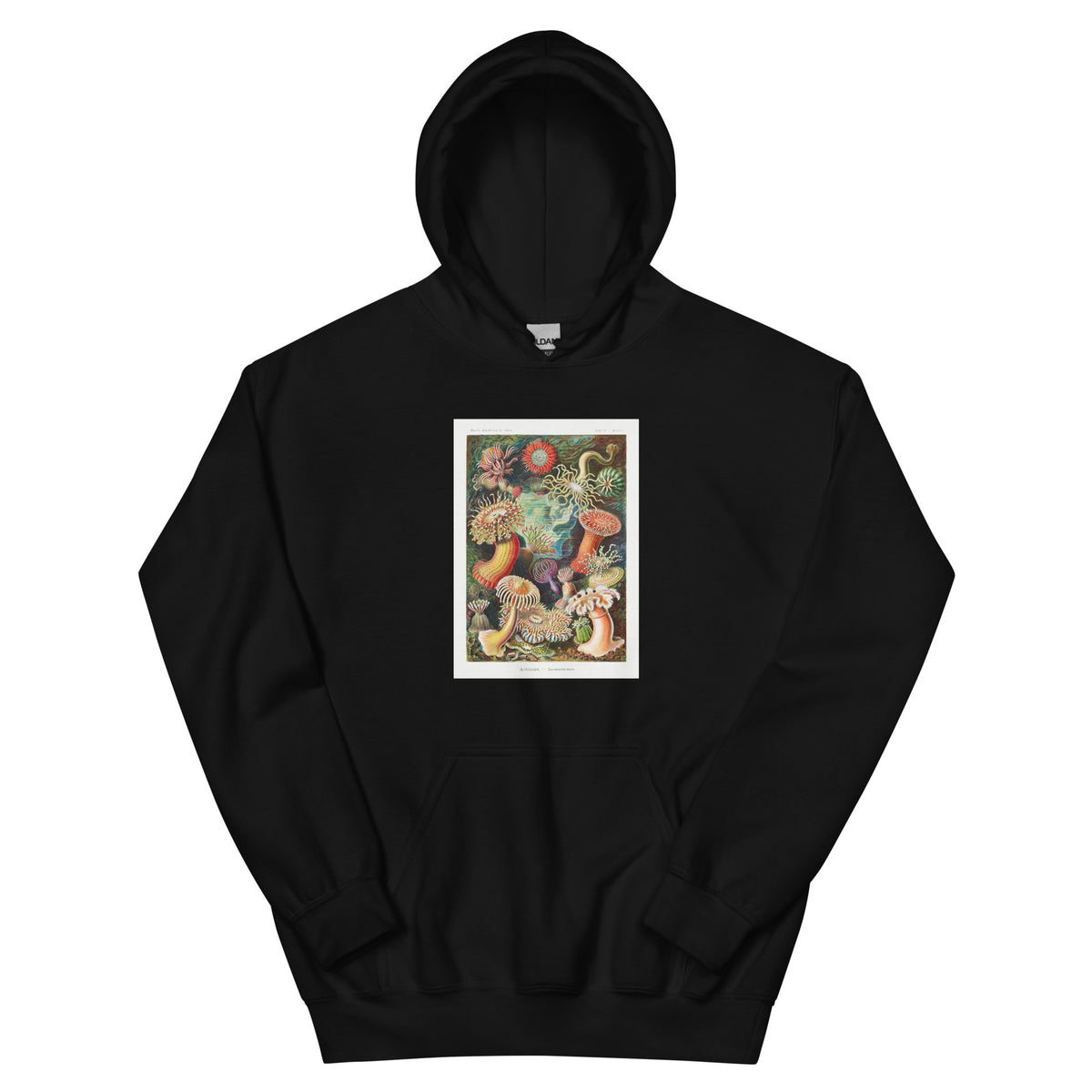Black Hoodie Actiniae Seeanemonen Essential