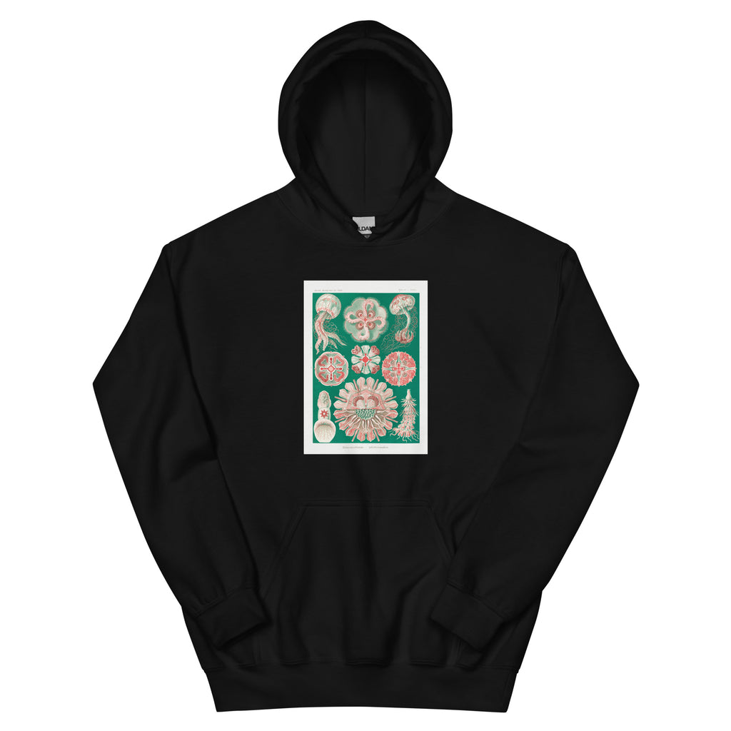 Black Hoodie Discomedusae Schweibenquallen Essential