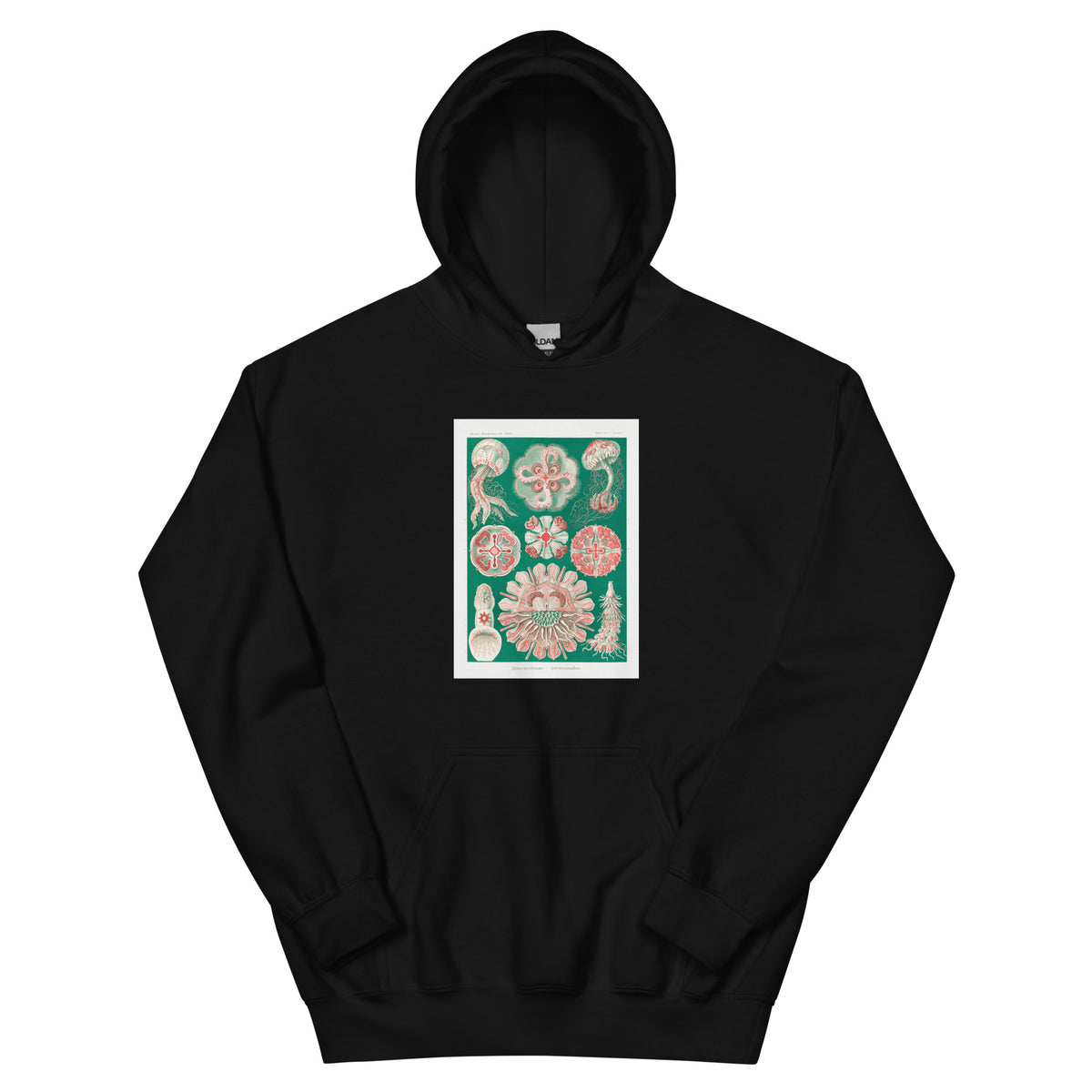Black Hoodie Discomedusae Schweibenquallen Essential