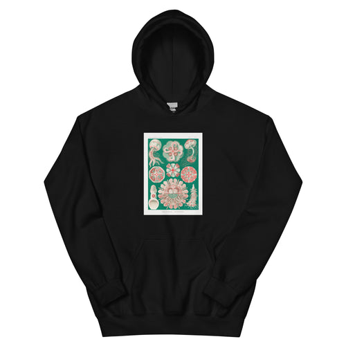 Black Hoodie Discomedusae Schweibenquallen Essential