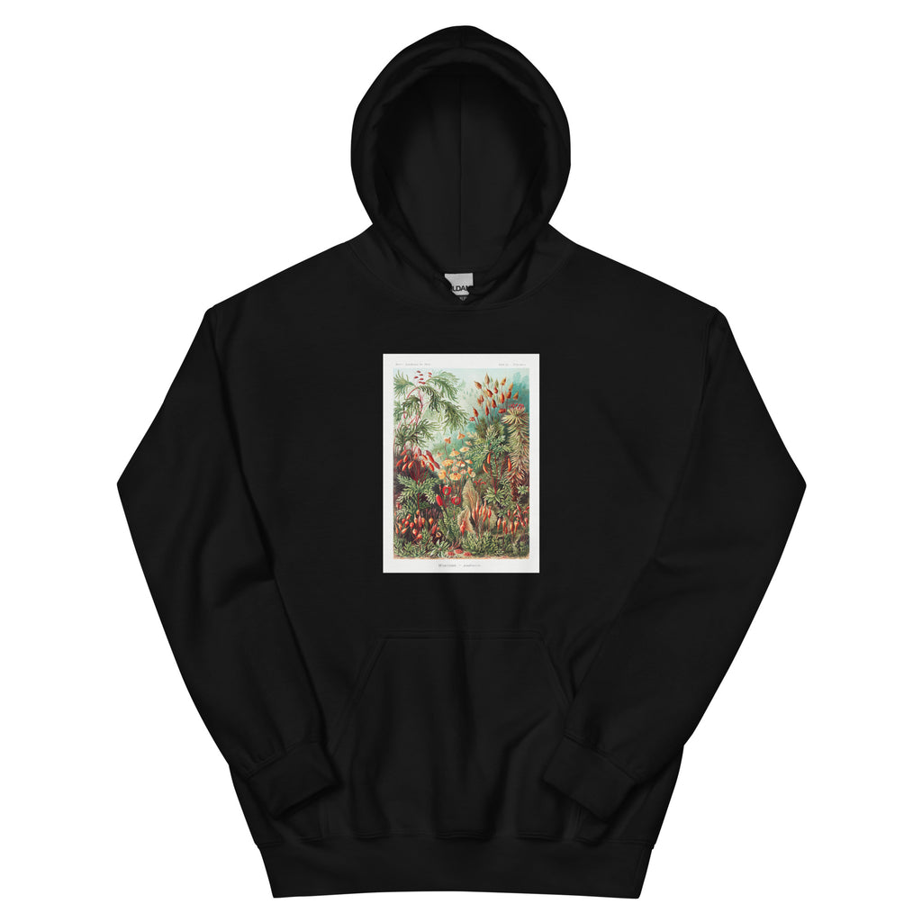 Black Hoodie Muscinae Laubmoose A Giltsch Gem Essential