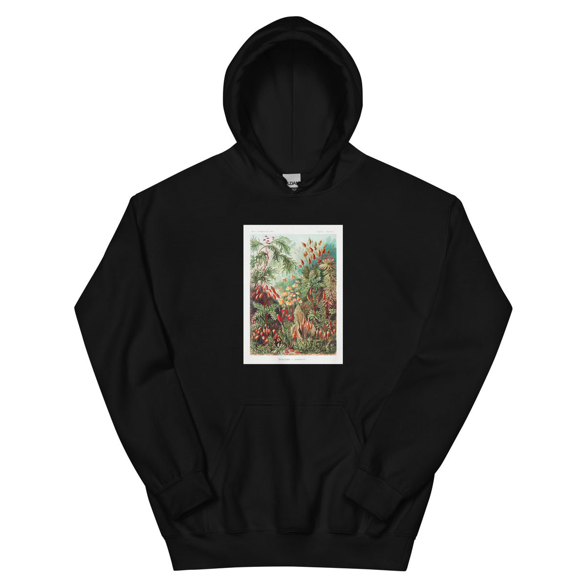 Black Hoodie Muscinae Laubmoose A Giltsch Gem Essential