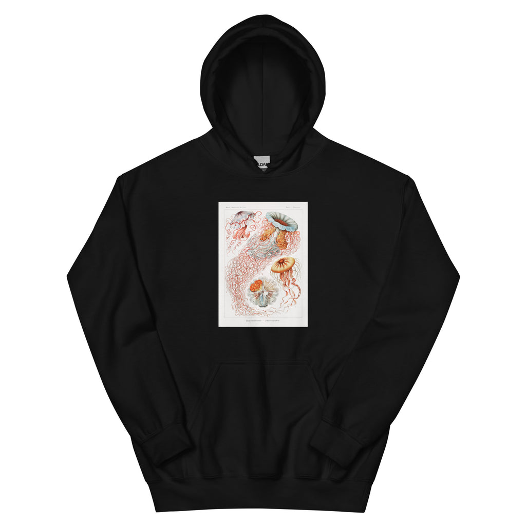 Black Hoodie Discomedusae Scheibenquallen Essential