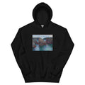 Black Hoodie Rocks At Port-Goulphar Belle- Icirc Le Essential