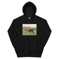 Black Hoodie Horse In A Meadow Essential