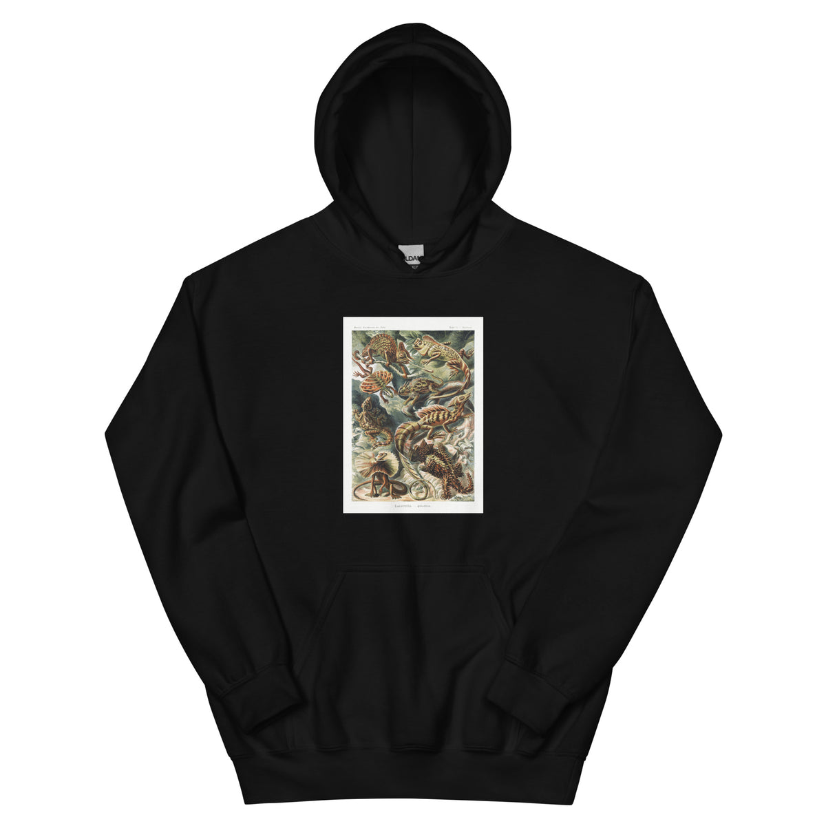 Black Hoodie Lacertilia Eidechlen Essential