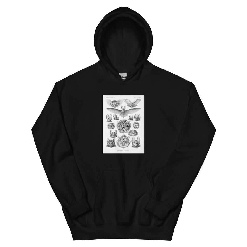 Black Hoodie Chiroptera Fledertiere Essential
