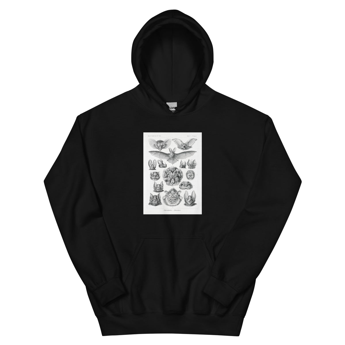 Black Hoodie Chiroptera Fledertiere Essential