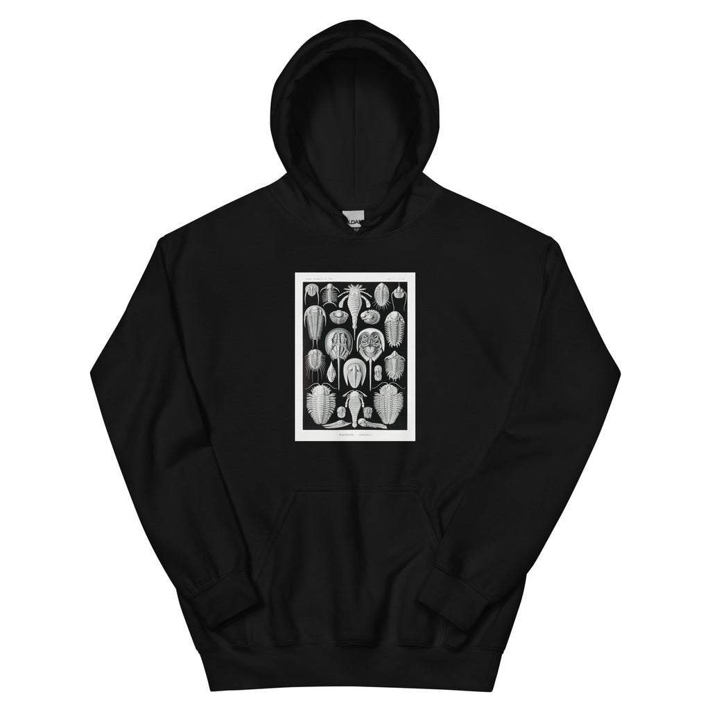 Black Hoodie Aspidonia Schildtiere Essential