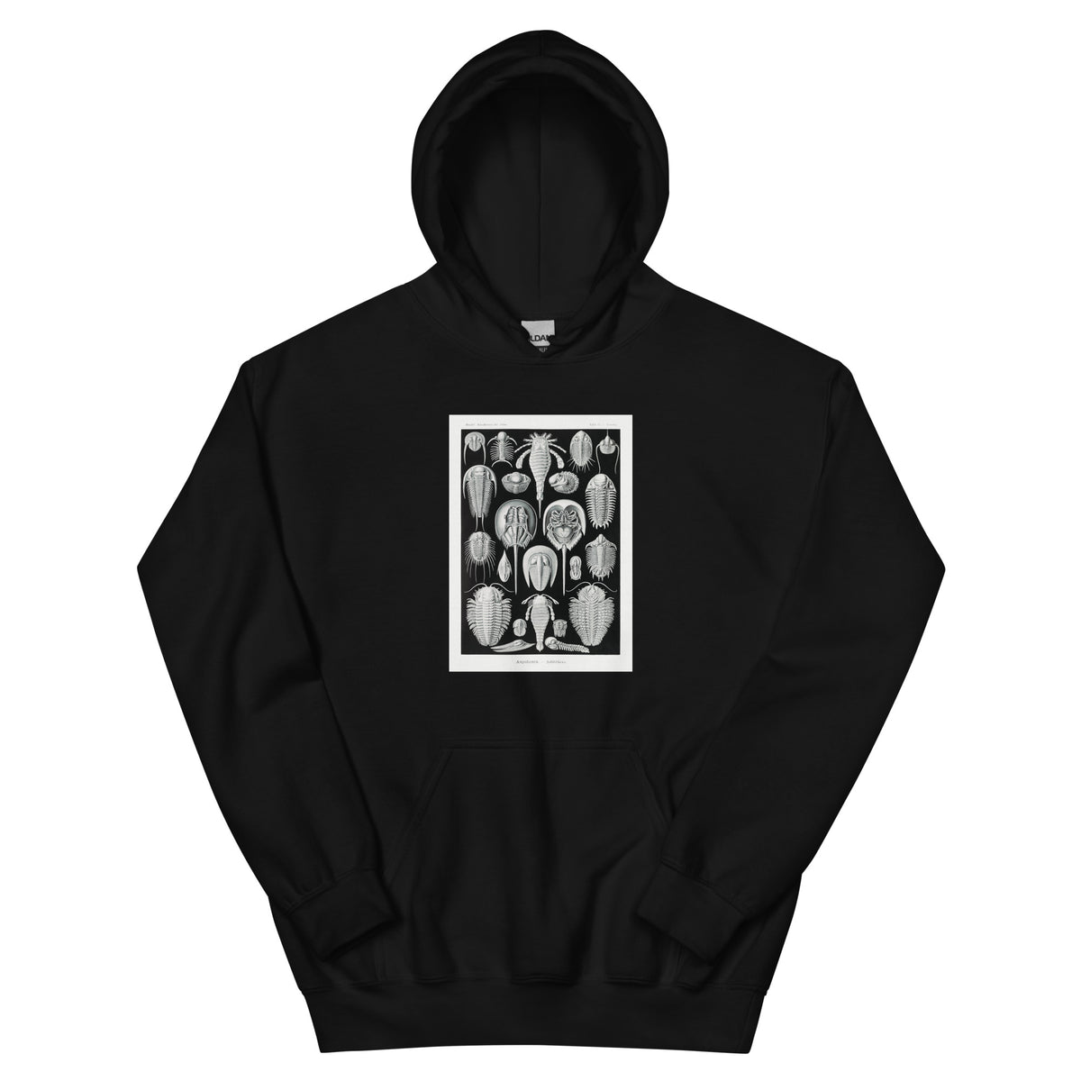 Black Hoodie Aspidonia Schildtiere Essential