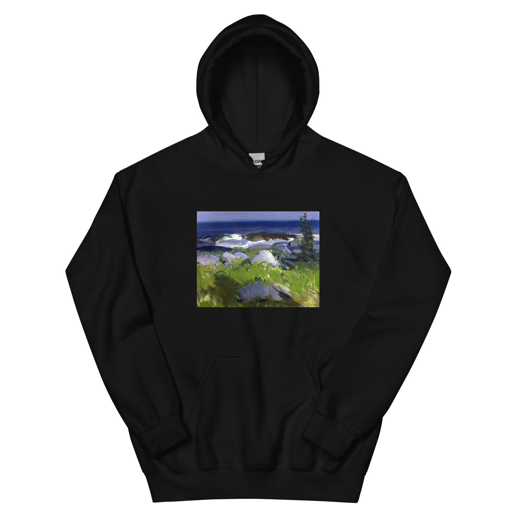 Black Hoodie Vine Clad Shore Monhegan Island Essential