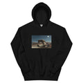 Black Hoodie Henri Rousseau The Sleeping Gypsy La Bohemienne Endormie Famous Painting Essential
