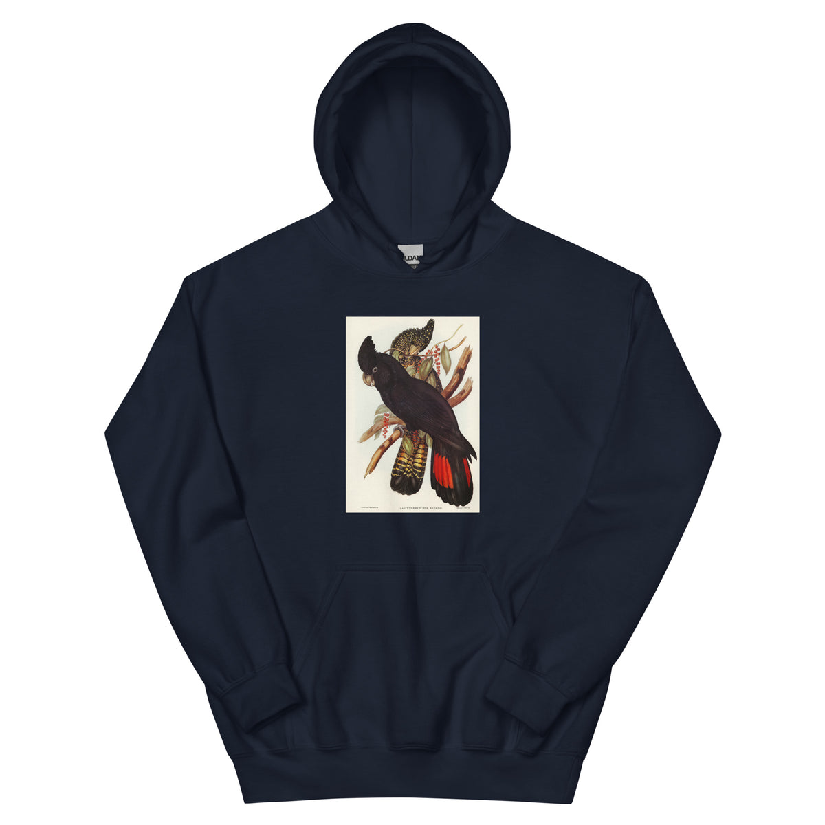 Navy Hoodie Banksian Cockatoo Calyptorhynchus Banksii Illustrated - Elizabeth Gould 1804 Essential