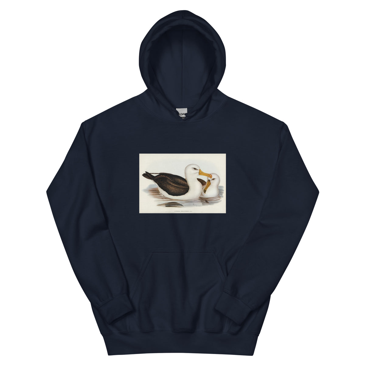 Navy Hoodie Black-Eyebrowed Albatros Diomedea Melanophrys Illustrated - Elizabeth Gould 1804 Essential
