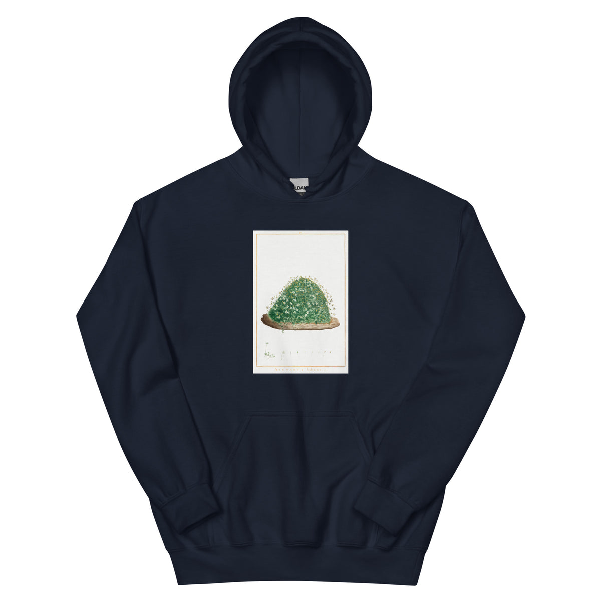 Navy Hoodie Arenaria Balearica Image - Pierre-Joseph Redoute And Charles Louis L Heritier 1784 Essential
