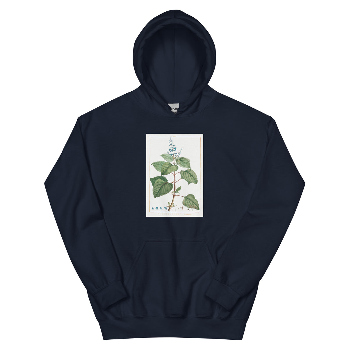 Navy Hoodie Plectranthus Fruticosus Image - Pierre-Joseph Redoute And Charles Louis 1784 Essential