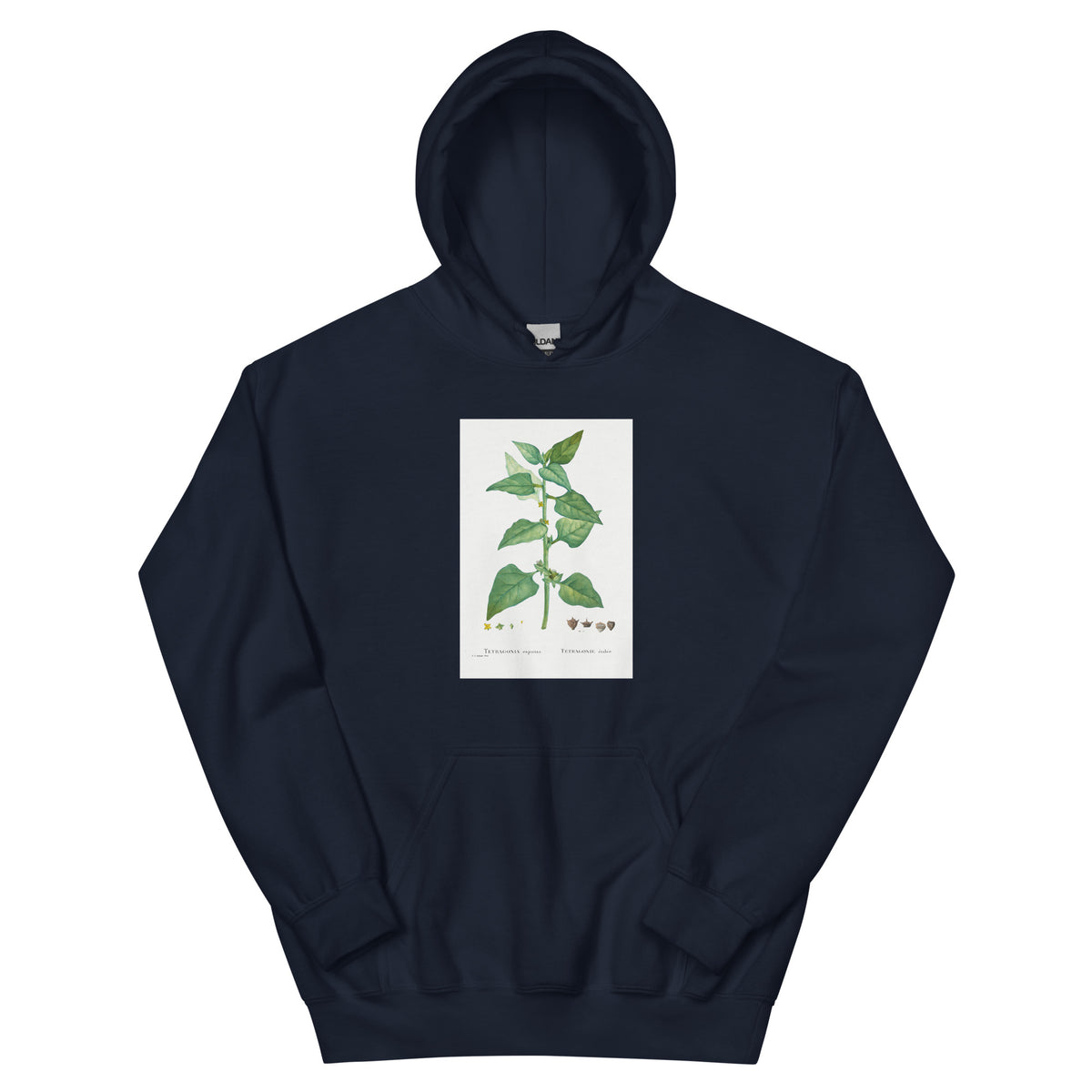Navy Hoodie Tetragonia Expansa New Zealand Spinach Essential