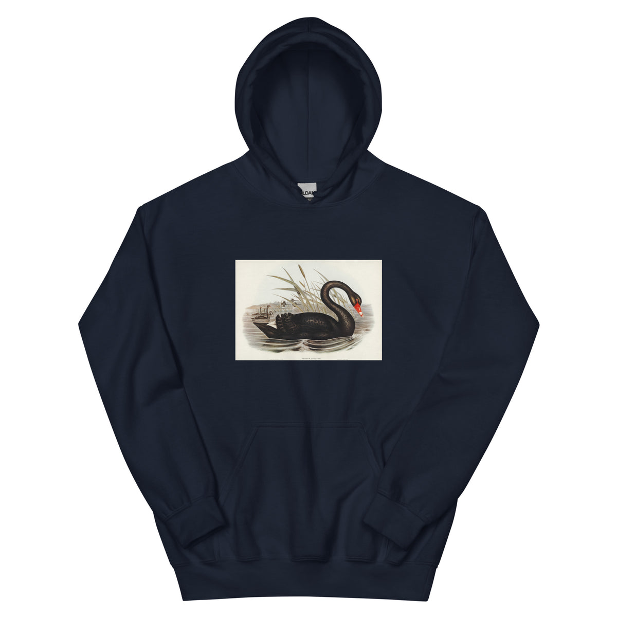 Navy Hoodie Black Swan Cygnus Atratus Illustrated - Elizabeth Gould 1804 Essential