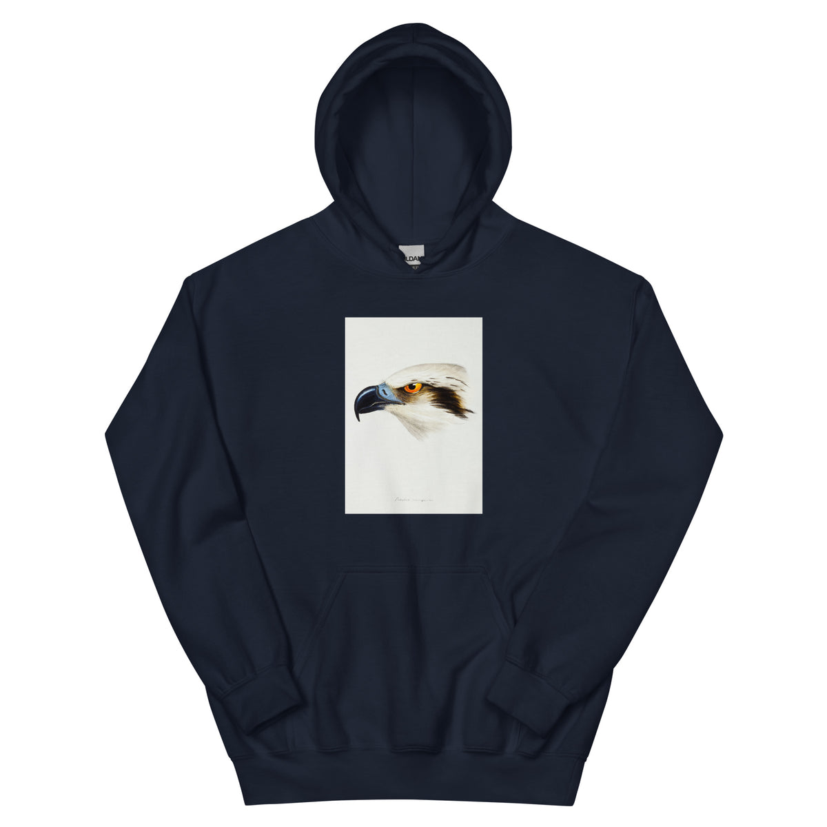 Navy Hoodie White-Headed Osprey Pandion Leucocephalus Illustrated Essential