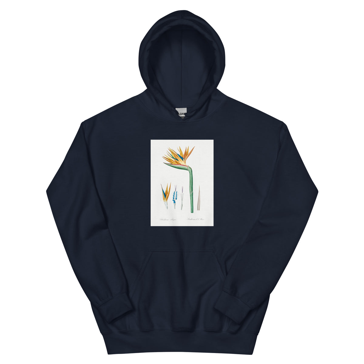 Navy Hoodie Bird Of Paradise Illustration Essential