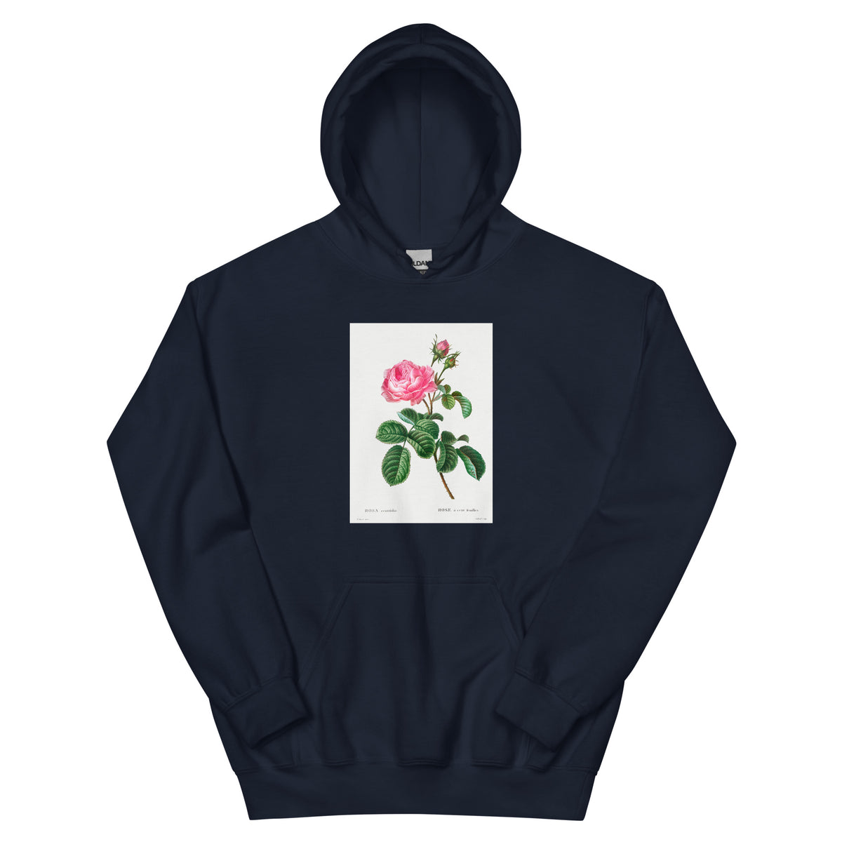 Navy Hoodie Cabbage Rose Rosa Centifolia Essential