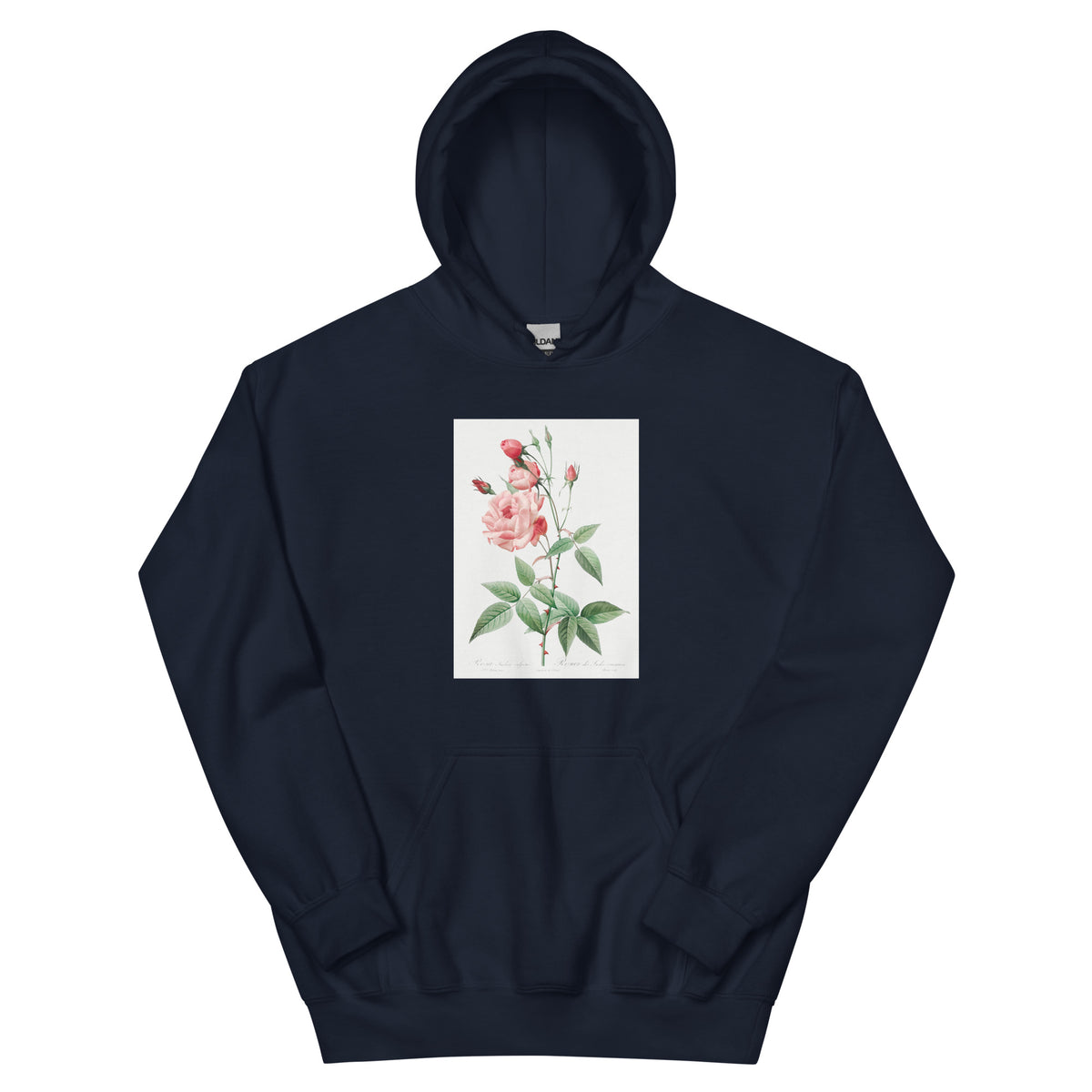 Navy Hoodie Old Blush China Also Known As Common Rose Of India Rosa Indica Vulgaris Essential