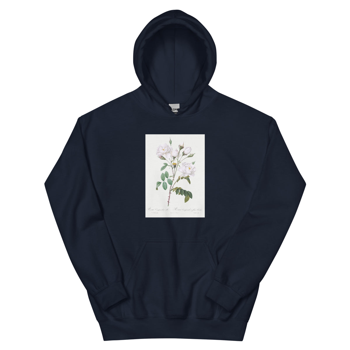Navy Hoodie Rosa Campanulata Alba Also Known As Pink Bellflowers To White Flowers Essential