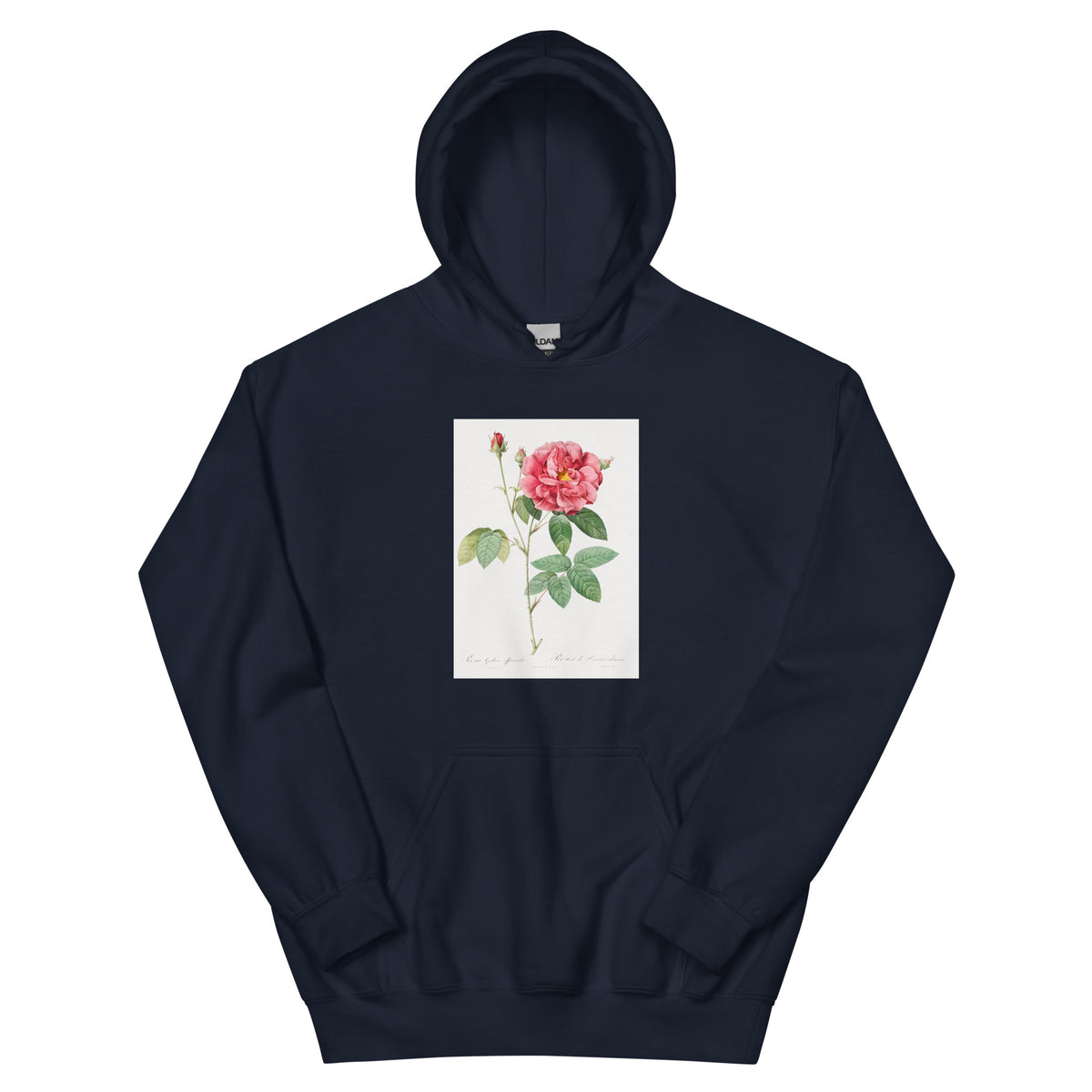 Navy Hoodie French Rose Also Known As Ordinary Provins Rosebush Rosa Galluca Offuenalis Essential