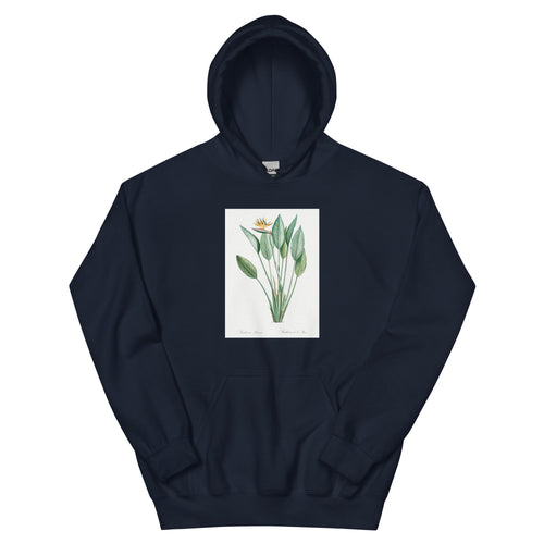 Navy Hoodie Bird Of Paradise Illustration II Essential