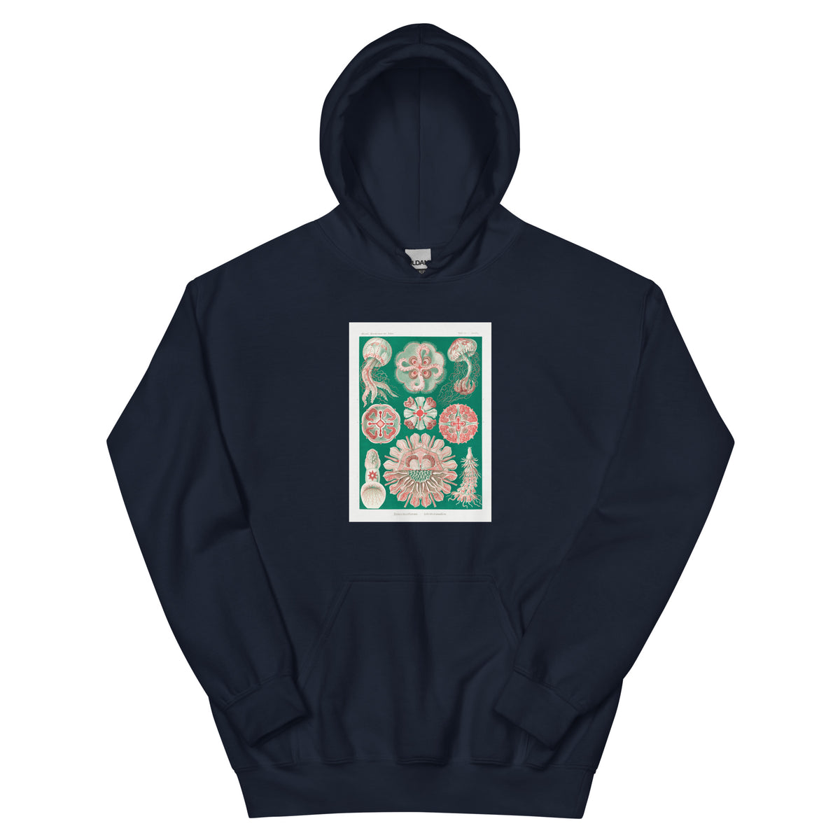 Navy Hoodie Discomedusae Schweibenquallen Essential