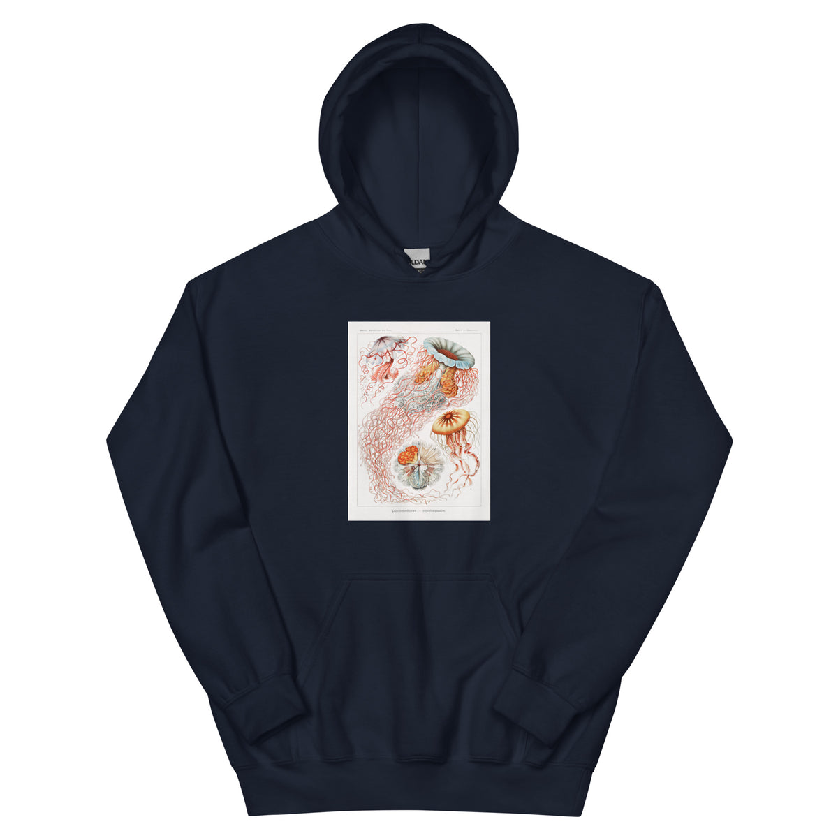 Navy Hoodie Discomedusae Scheibenquallen Essential