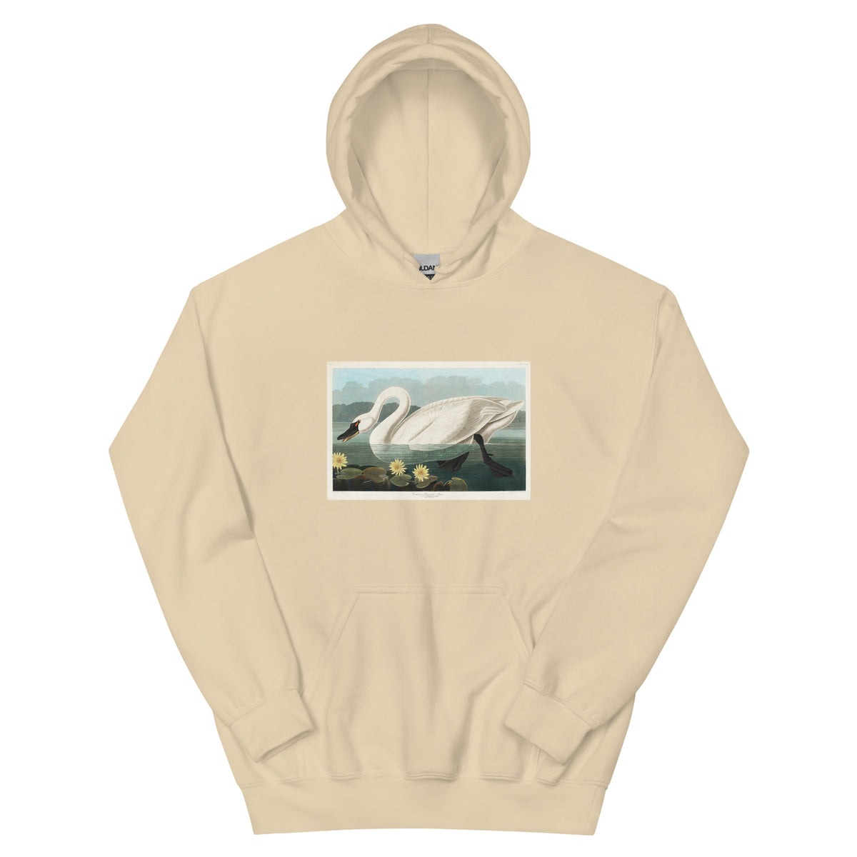 Sand Hoodie Common American Swan - John James Audubon 1827 Essential