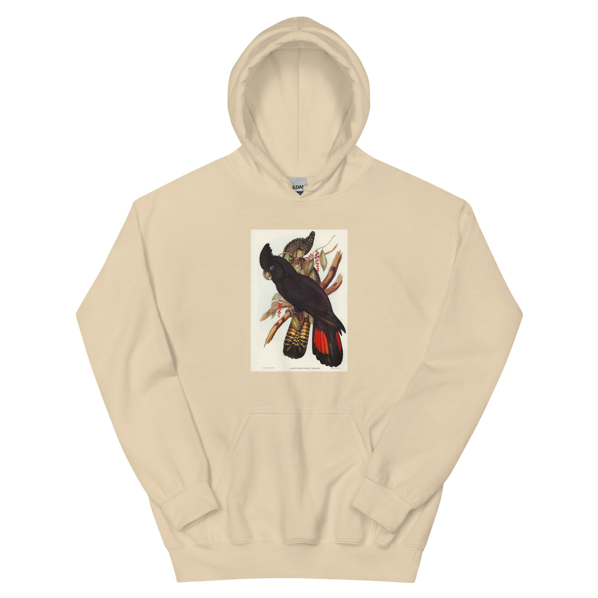 Sand Hoodie Banksian Cockatoo Calyptorhynchus Banksii Illustrated - Elizabeth Gould 1804 Essential