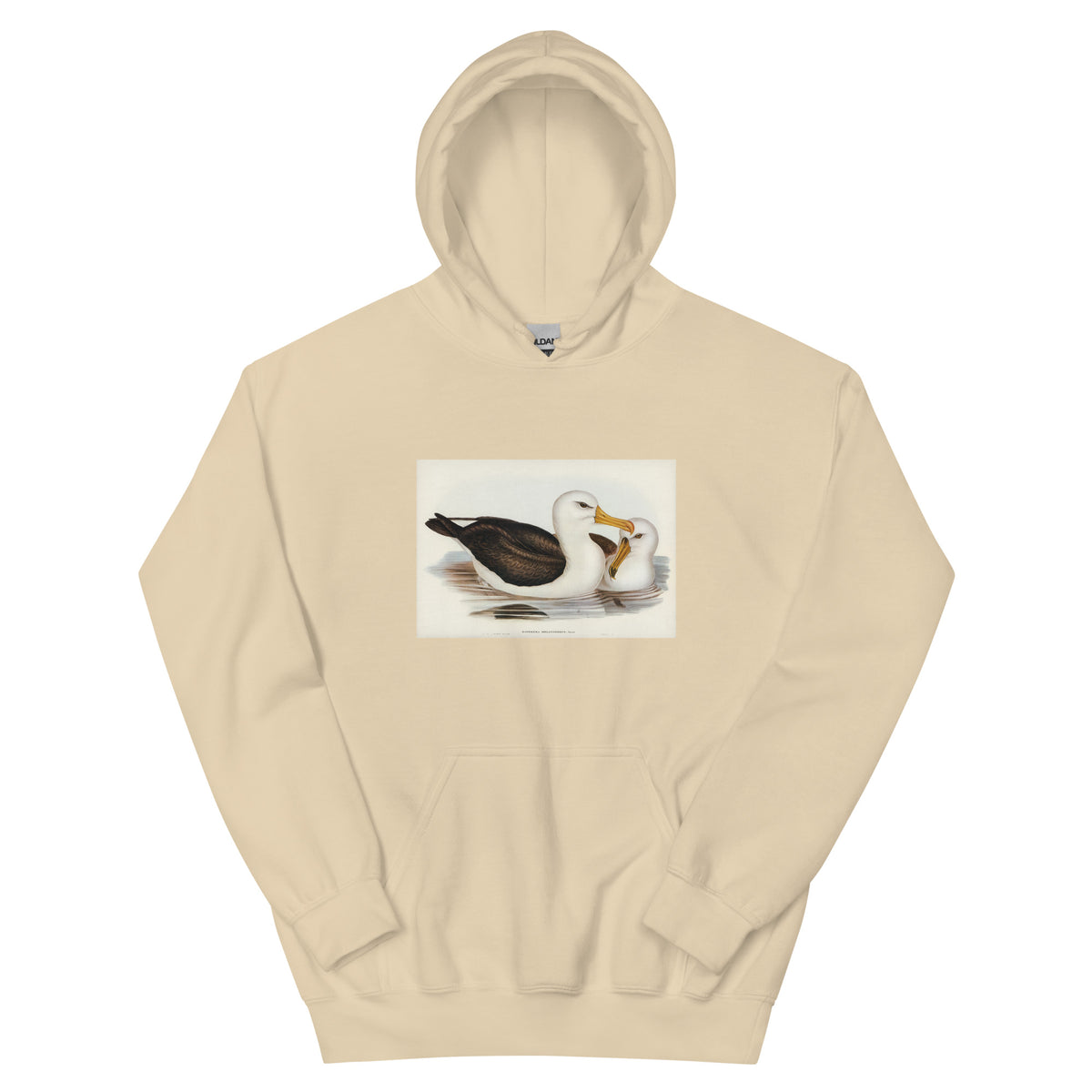 Sand Hoodie Black-Eyebrowed Albatros Diomedea Melanophrys Illustrated - Elizabeth Gould 1804 Essential