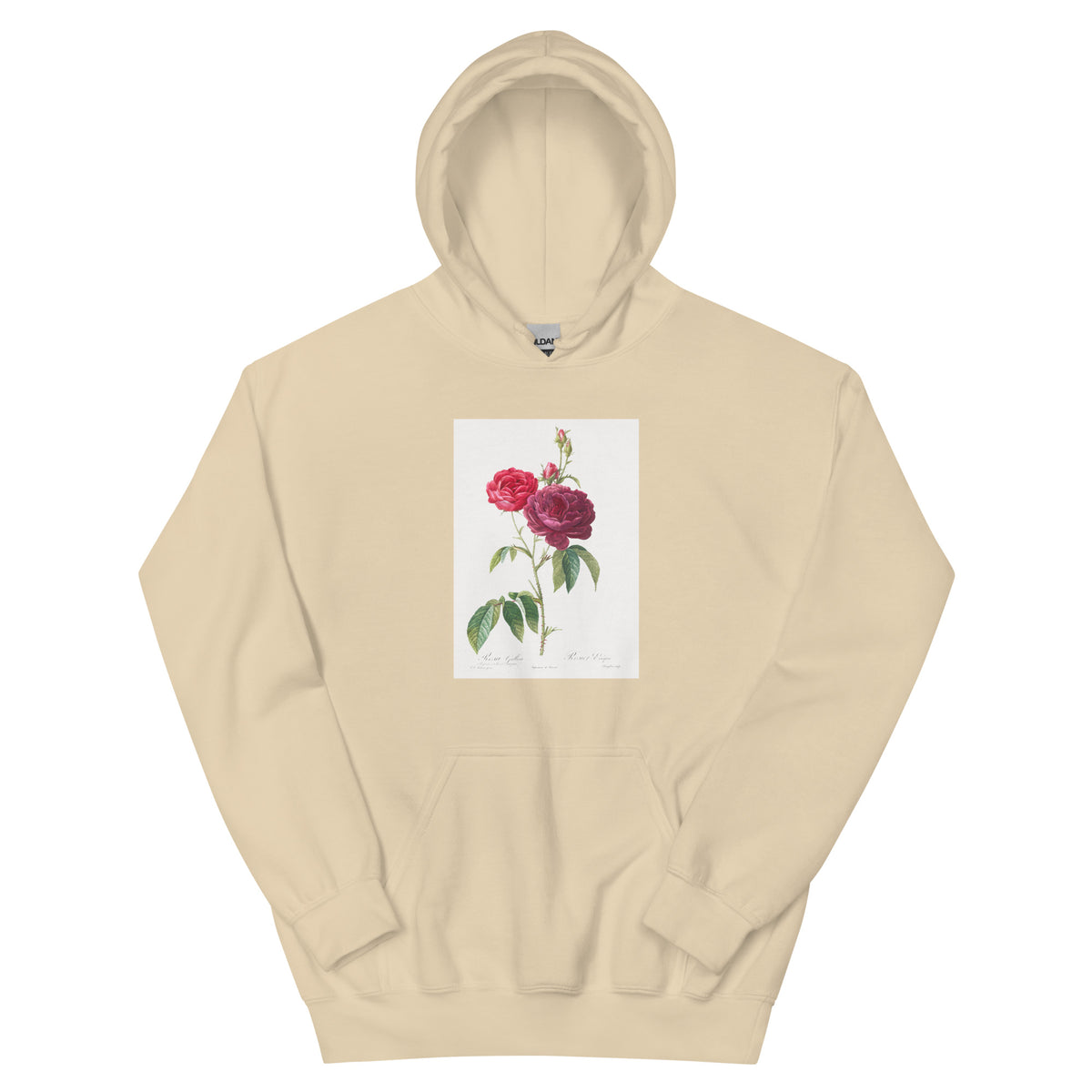 Sand Hoodie Purple French Rose Rosa Gallica Purpuro-Violacea Magna Essential