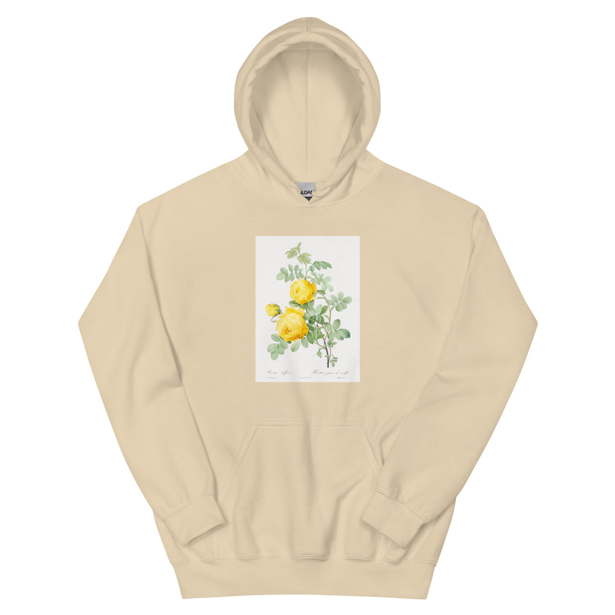 Sand Hoodie Rosa Hemisphaerica Also Known As Yellow Rose Of Sulfur Rosa Sulfurea Essential
