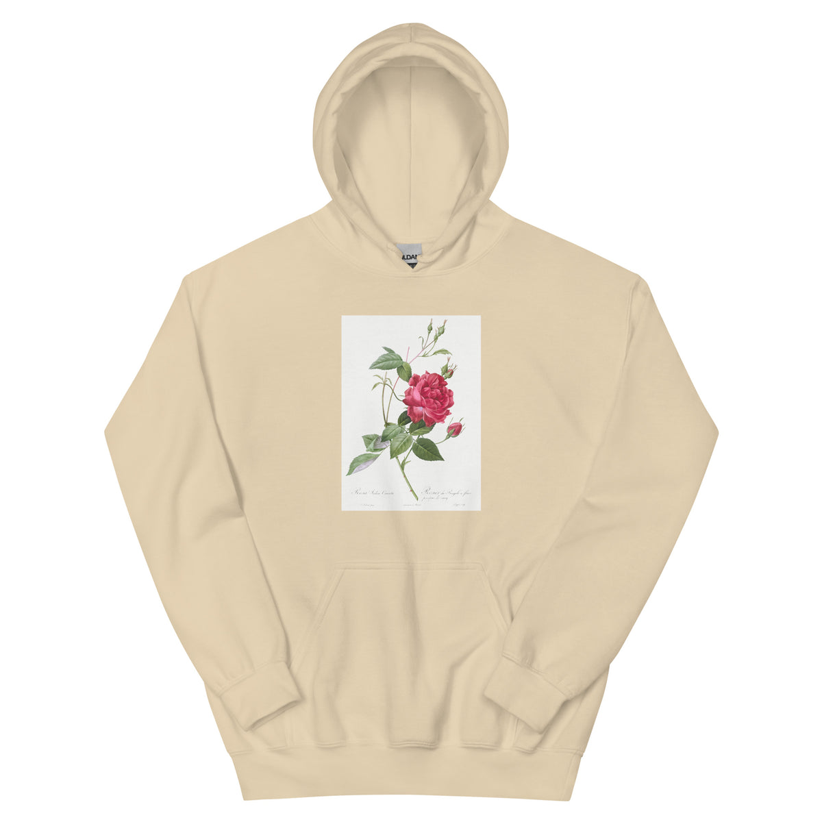 Sand Hoodie Blood-Red Bengal Rose Rosa Indica Cruneta Essential