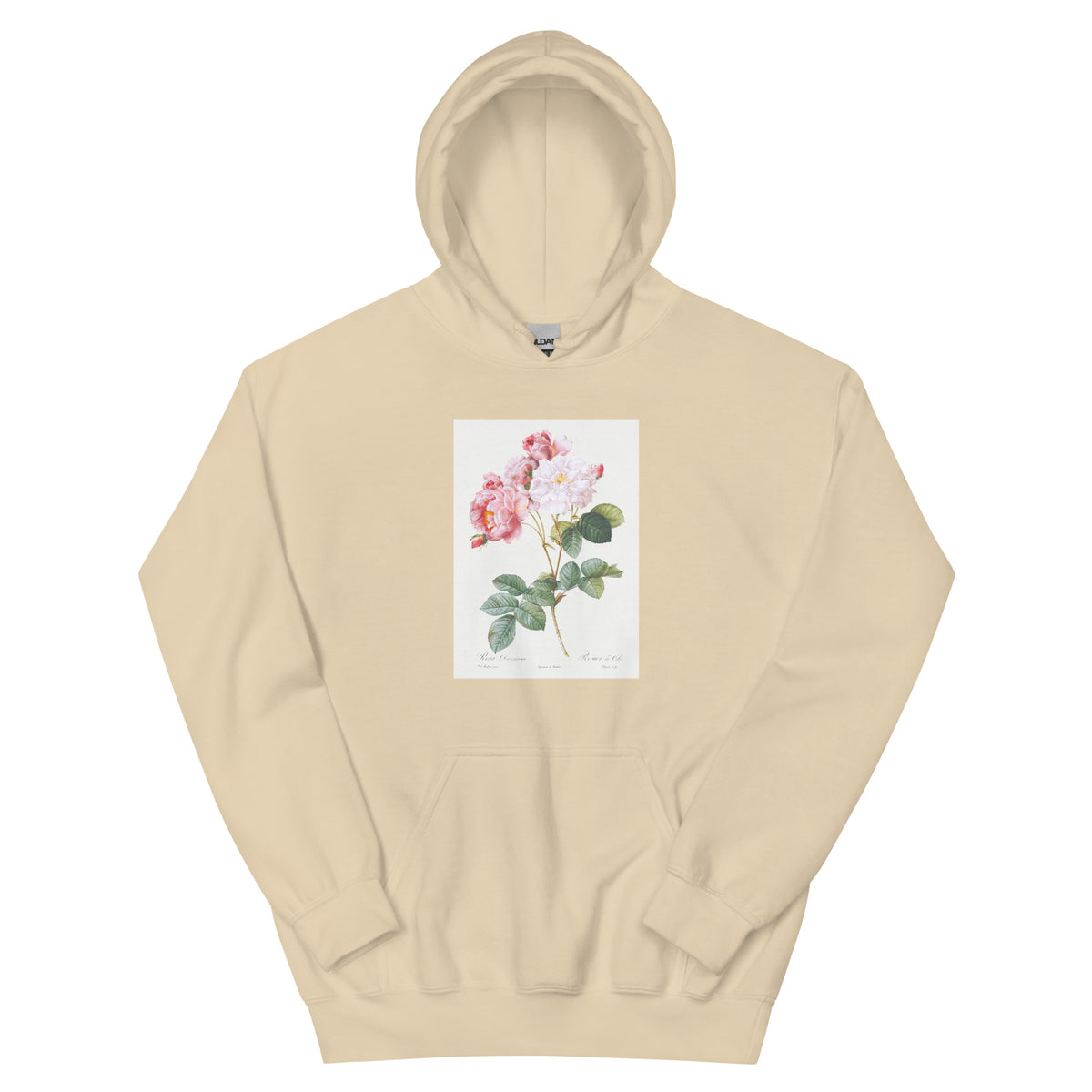 Sand Hoodie Rosa Damascena Rosebush Rosa Damascena Essential