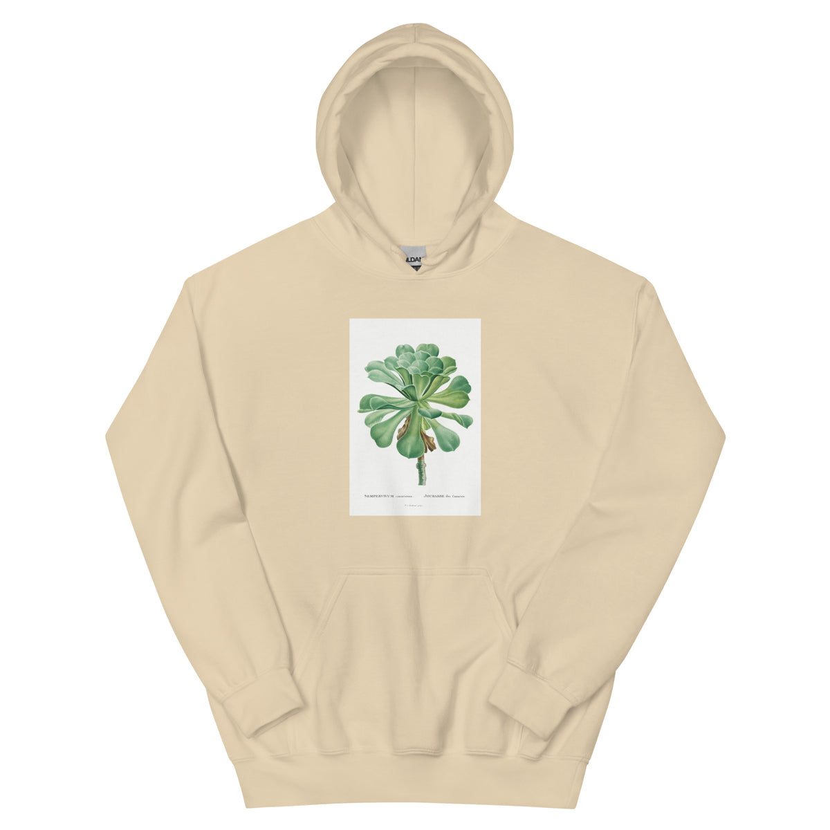 Sand Hoodie Sempervivum Canariense Image Essential