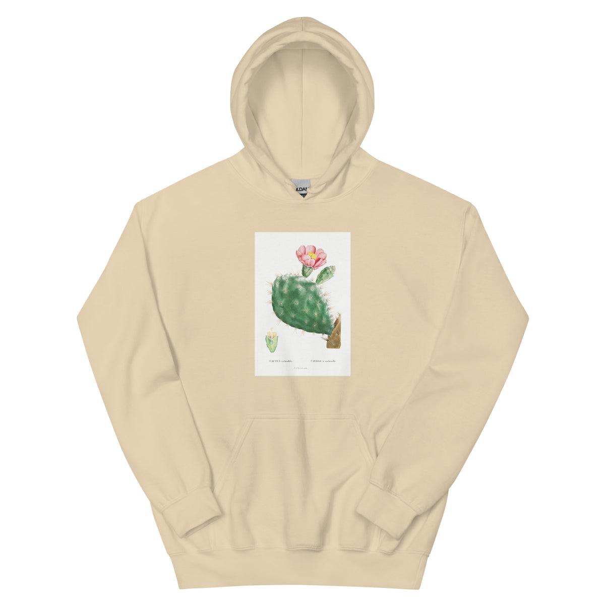 Sand Hoodie Cactus Cochenillifer Image Essential