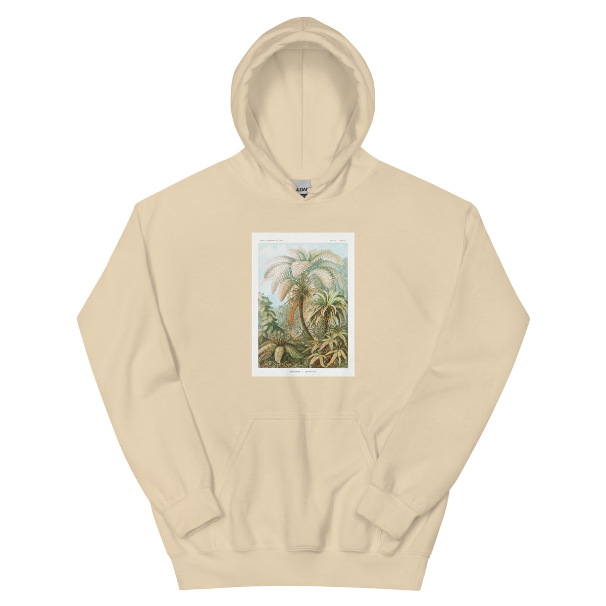Sand Hoodie Filicinae Laubfarne Essential