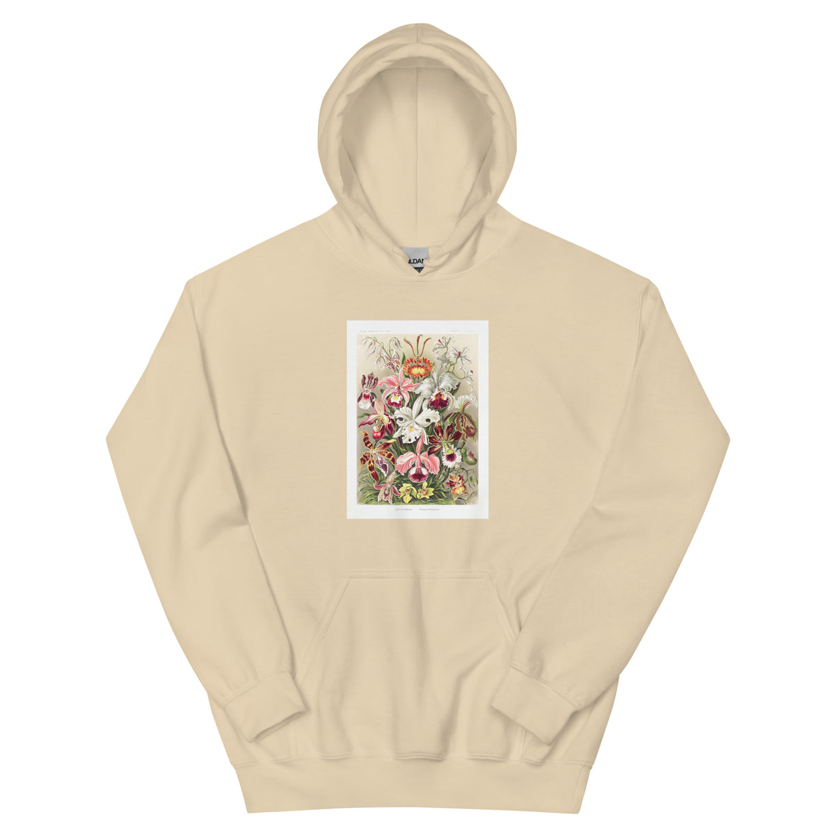 Sand Hoodie Orchideae Denusblumen A Giltsch Gem Essential