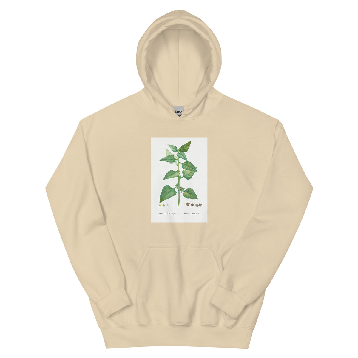 Sand Hoodie Tetragonia Expansa New Zealand Spinach Essential