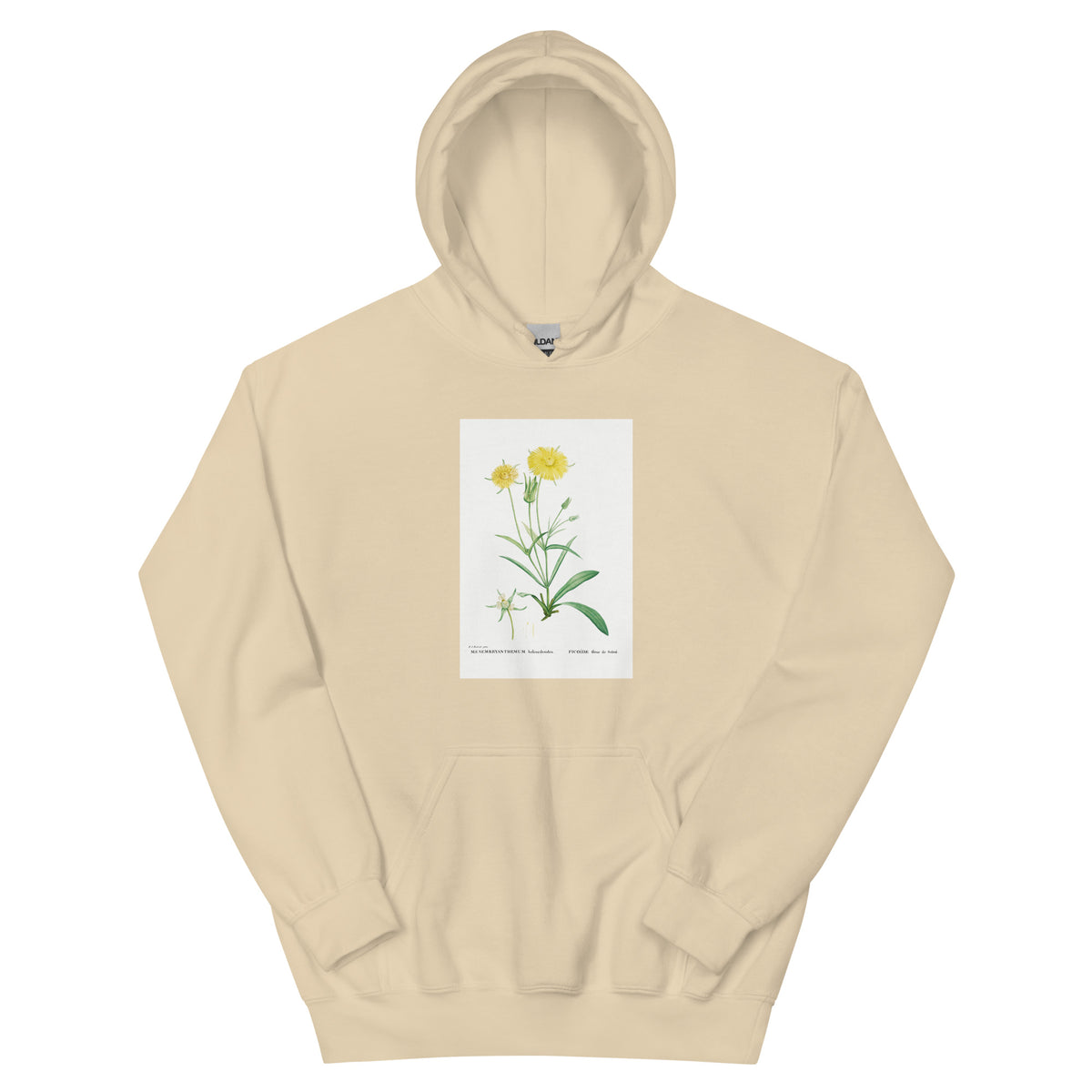 Sand Hoodie Mesembryanthemum Helianthoides Spatula Leaved Fig Marigold - Pierre-Joseph 1799 Essential
