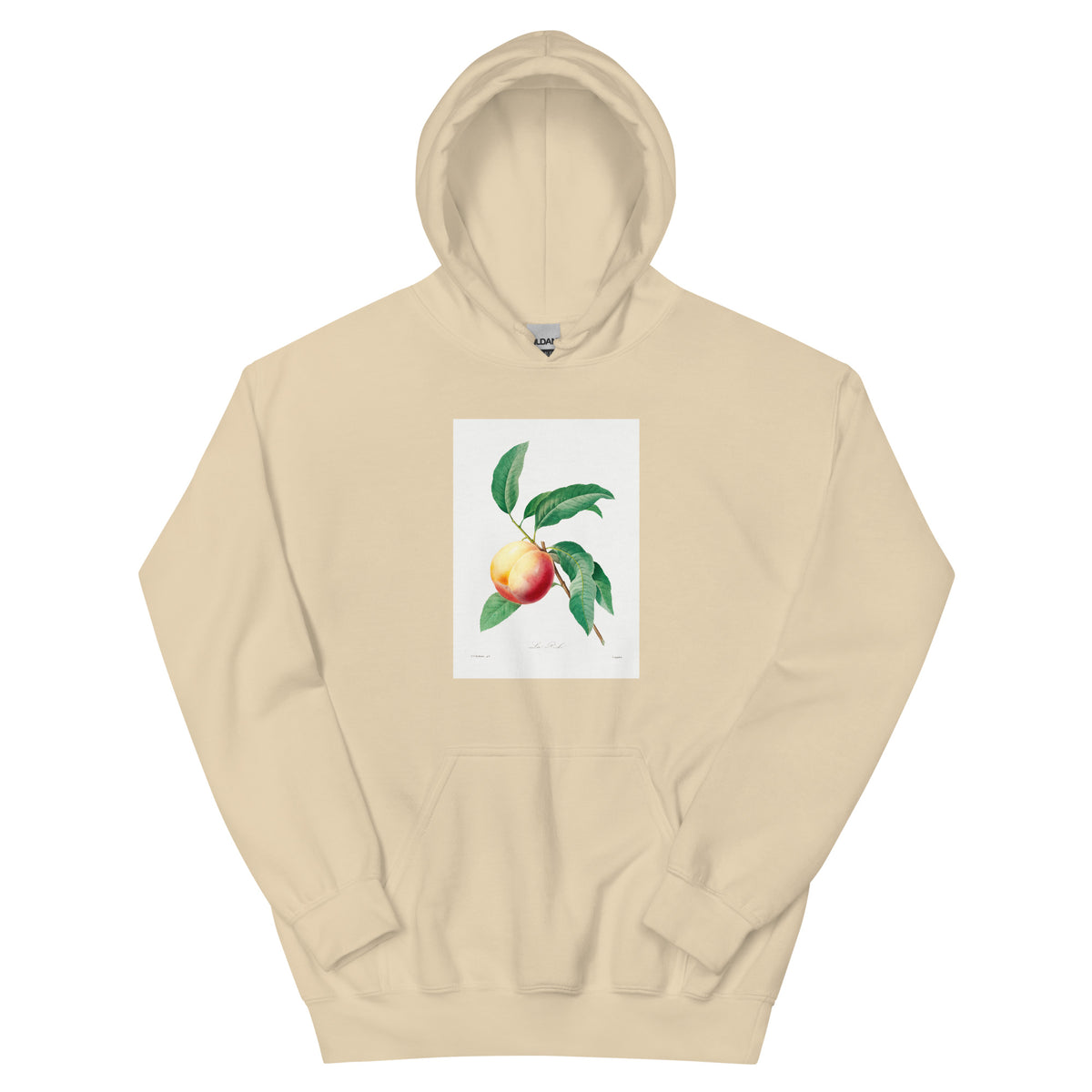 Sand Hoodie Peach Fruit On A Branch - Pierre-Joseph Redoute 1759 Essential