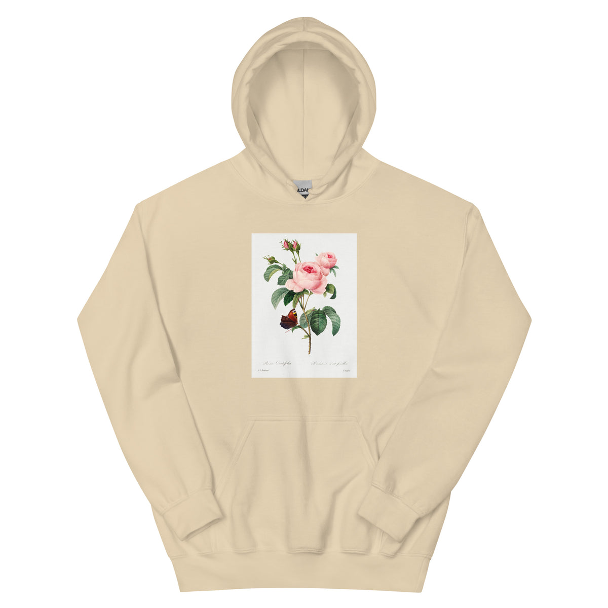 Sand Hoodie Cabbage Rose - Pierre-Joseph Redoute 1759 Essential