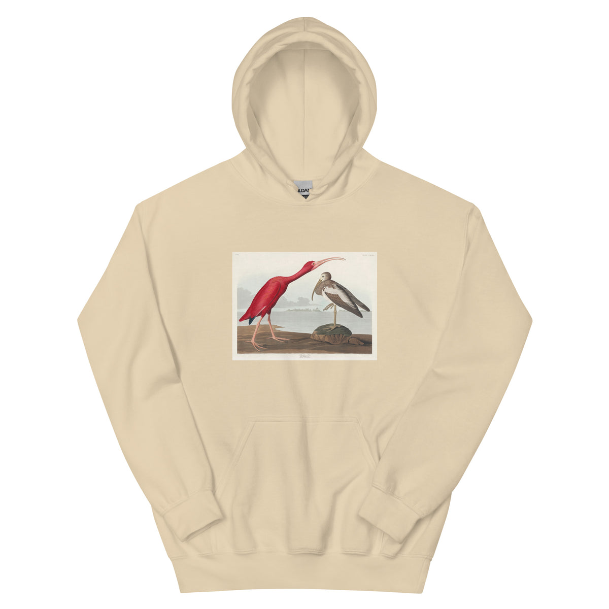 Sand Hoodie Scarlet Ibis - John James Audubon 1827 Essential