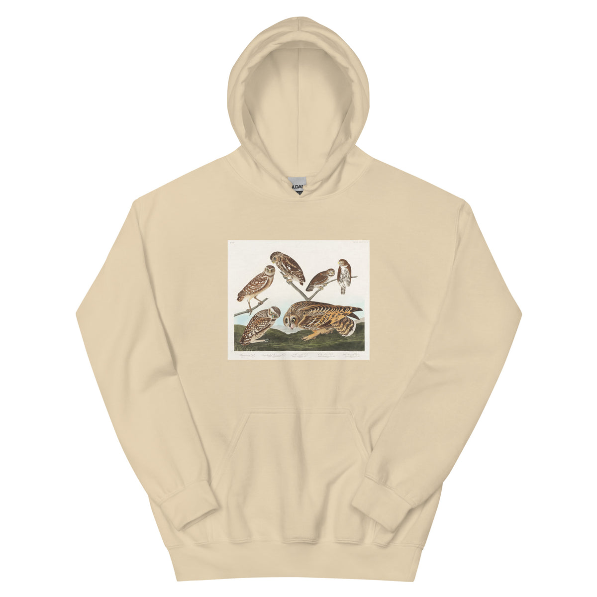 Sand Hoodie Burrowing Owl Large-Headed Burrowing Owl Little Night Owl Columbian Owl And Short-Cared Owl - John James Audubon 1827 Essential