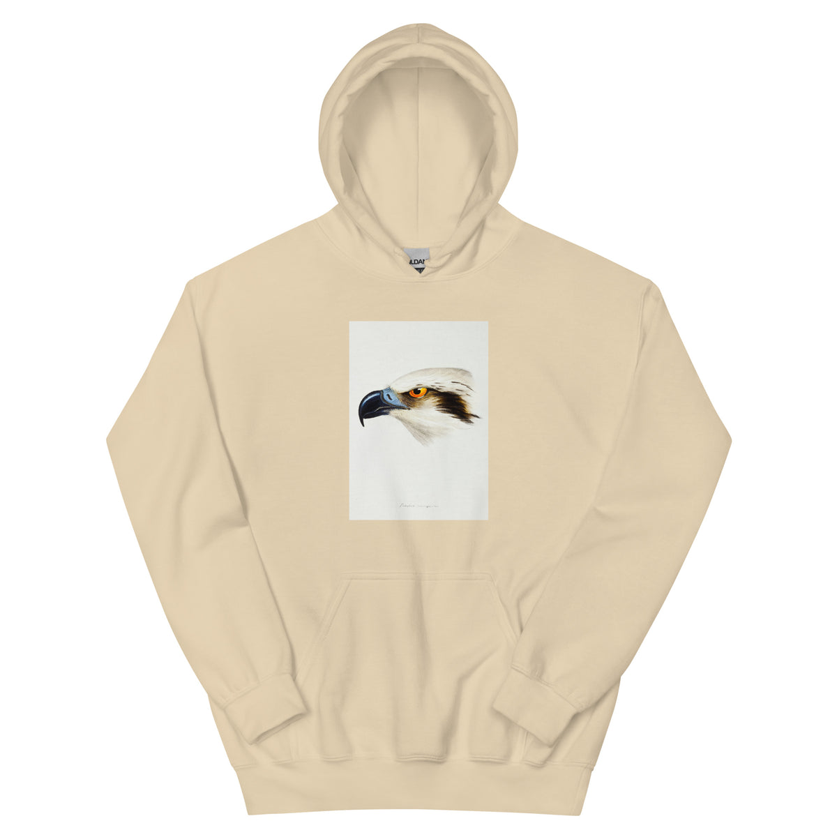 Sand Hoodie White-Headed Osprey Pandion Leucocephalus Illustrated Essential