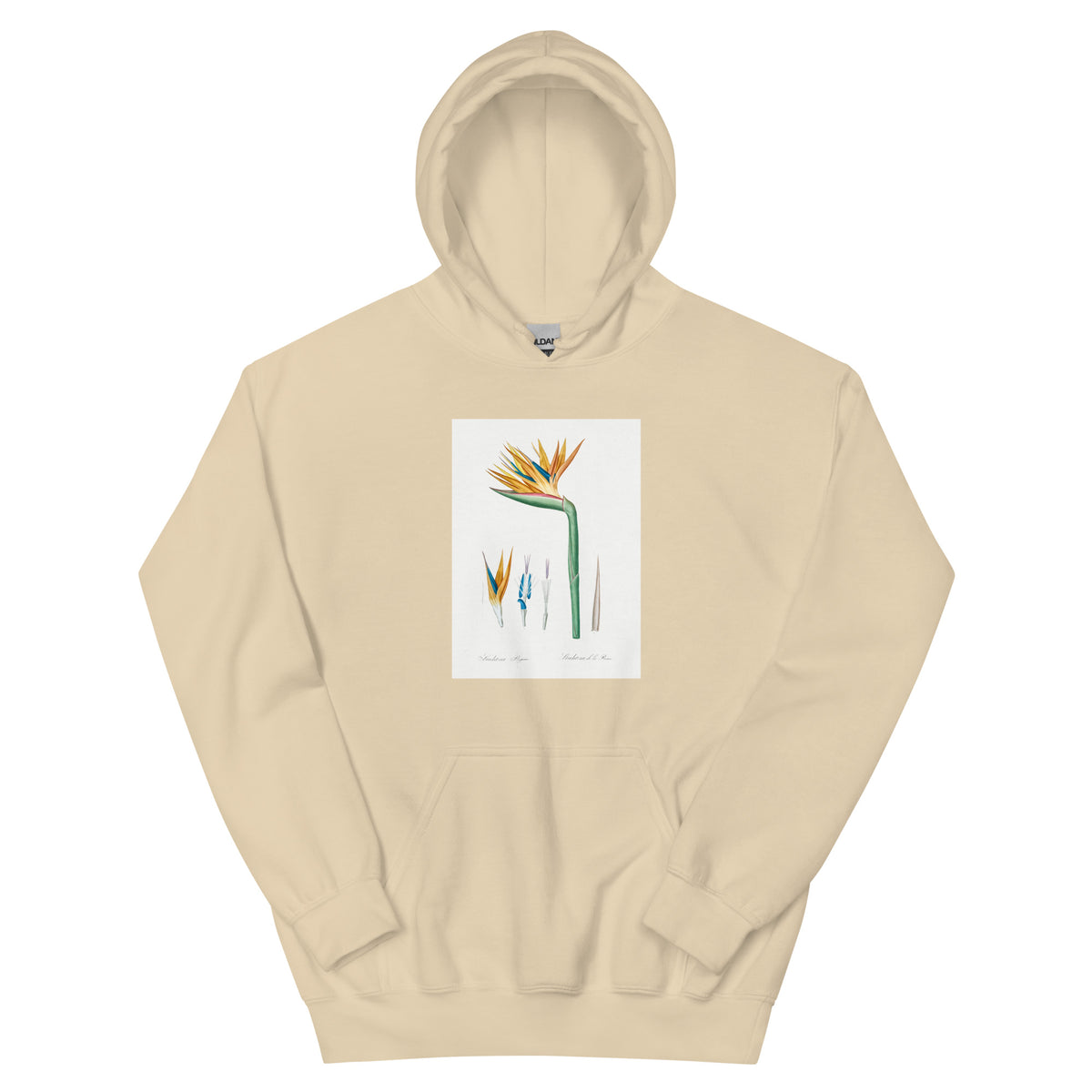 Sand Hoodie Bird Of Paradise Illustration Essential